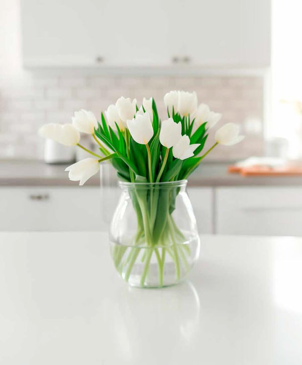 Pesach Secrets From Batya's Kitchen