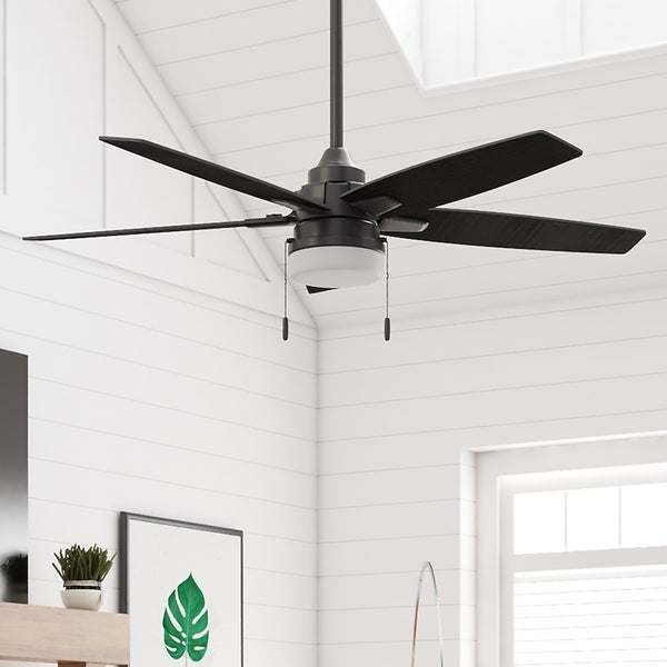 Indoor Ceiling Fan with Light