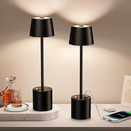 2Pack Cordless LED Table Lamp with 8000mAh Battery for USB C+A Ports