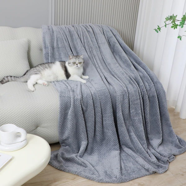 Cozy Lightweight Plush Throw Blanket