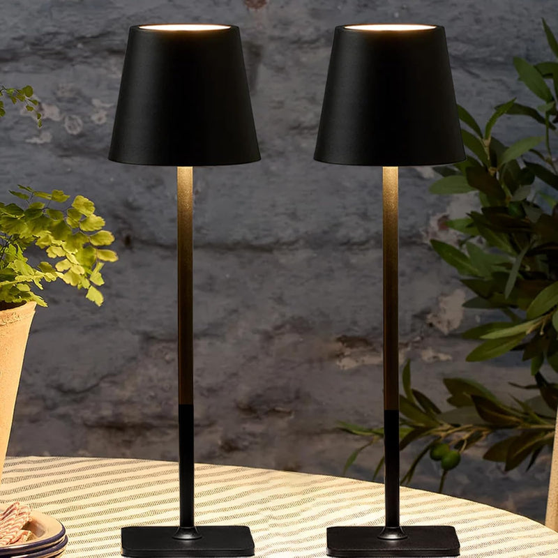 2 Pack Cordless Table Lamps