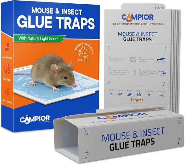 36 Pack Campior Pre-Baited Mouse Traps