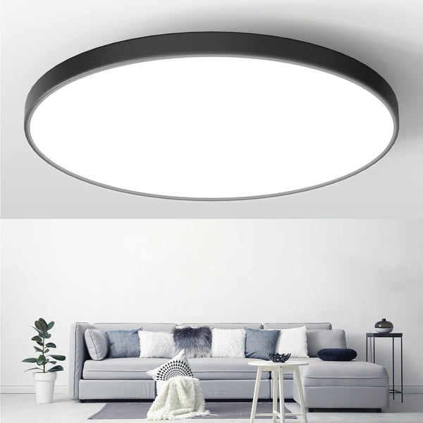 2-Pack Ceiling Light Flush Mount