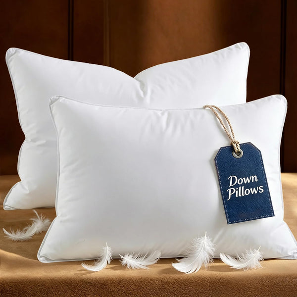 2 Down Feather Queen Pillows
