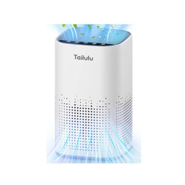 Large Room HEPA Air Purifier (1500ft²)