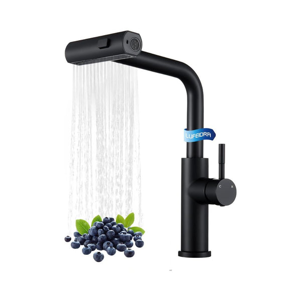 Kitchen Faucet with Pull Down Sprayer