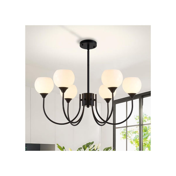 6 Chandelier Light Fixture