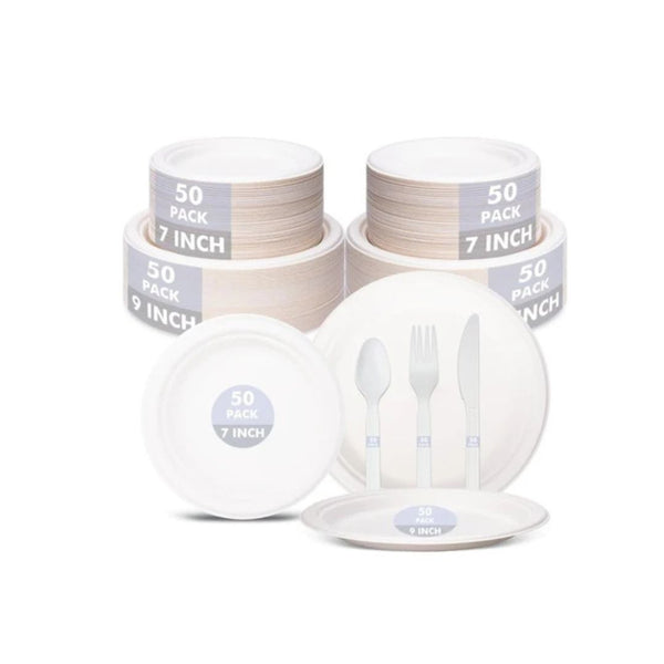 250 Piece Disposable Dinnerware Set