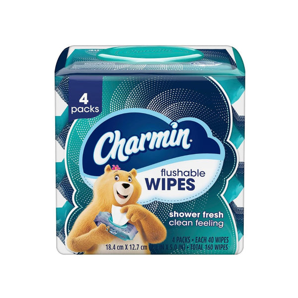 4-Pack Charmin Flushable Wipes
