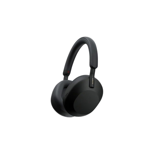 Sony Premium Noise Canceling Headphones