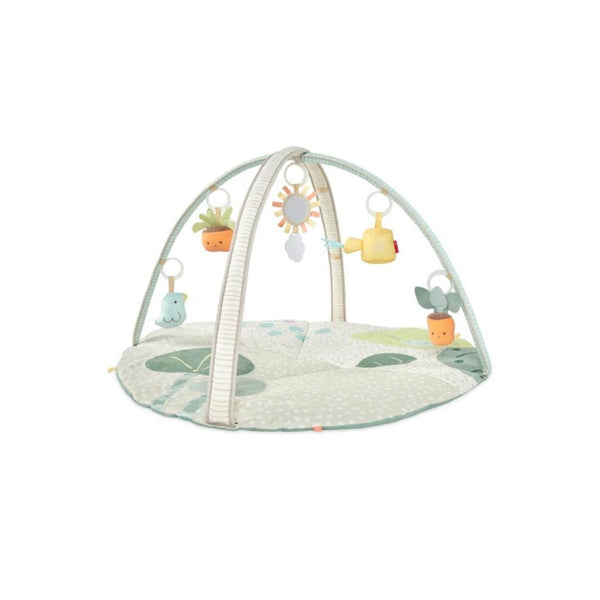Skip Hop Tummy Time Baby Play Gym