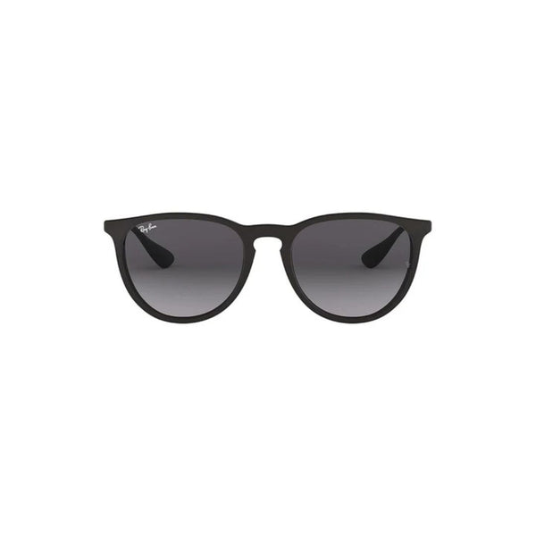 Ray-Ban Erika Classic Sunglasses