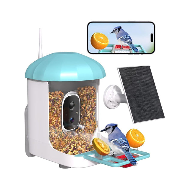 Bird Feeder with Camera 1 Year Trial AI Identify