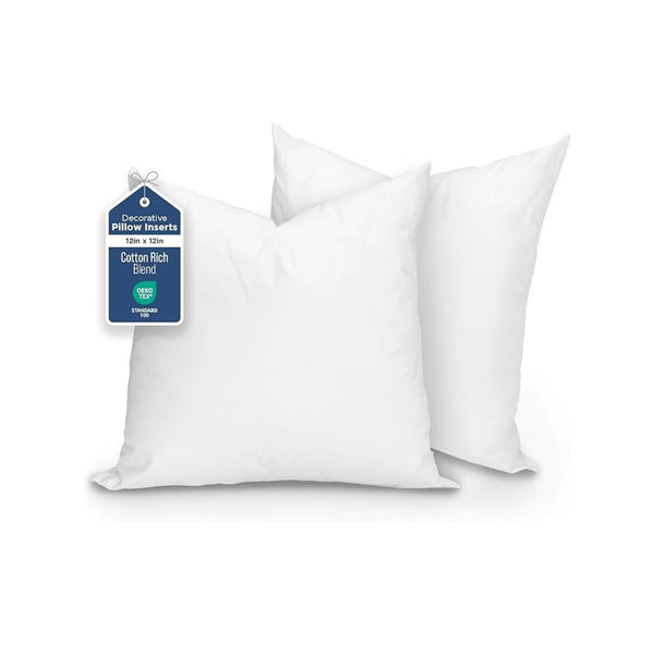 2 Pack Throw Pillow Inserts 12''