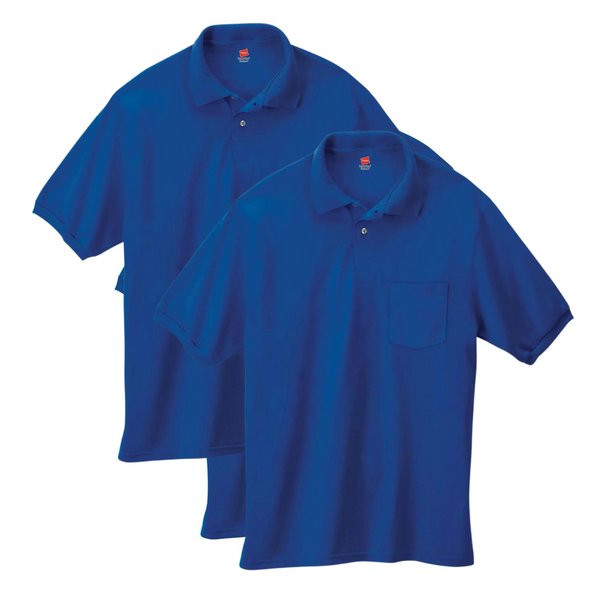 2 Hanes Men's Polo Shirts