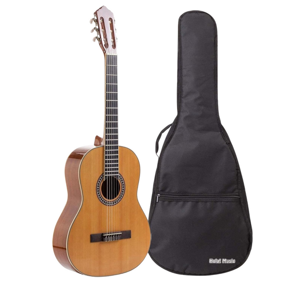 Classical Guitar with Padded Carry Bag