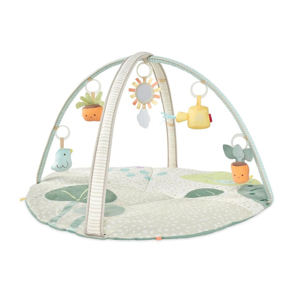 Skip Hop 3-in-1 Activity Baby Play Gym