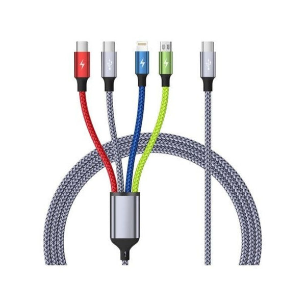 5FT 4-in-1 USB-C Multi Charging Cable