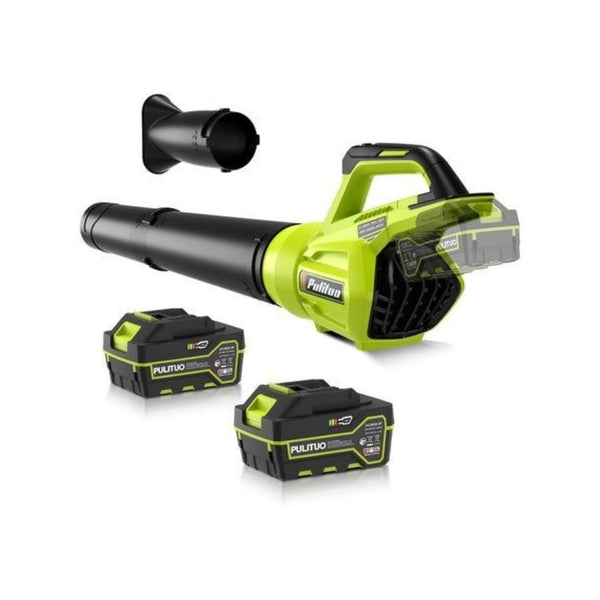 Leaf Blower With Battery And Fast Charger