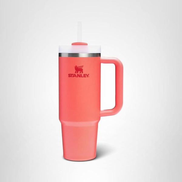 Stanley Quencher 30oz H2.0 Tumbler w/ Handle & Straw