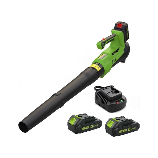 Electric Leaf Blower with 2 x 2Ah Battery & Charger