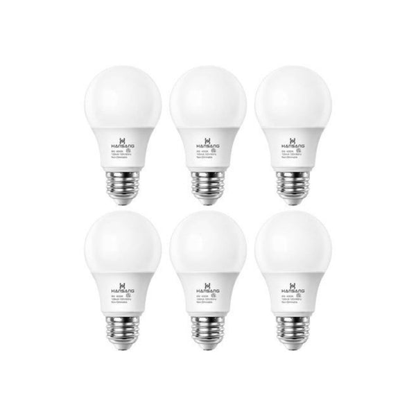 6 A19 LED Light Bulbs
