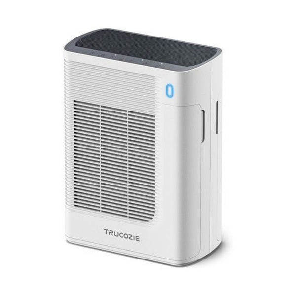Air Purifier With Double Sided Air Inlet