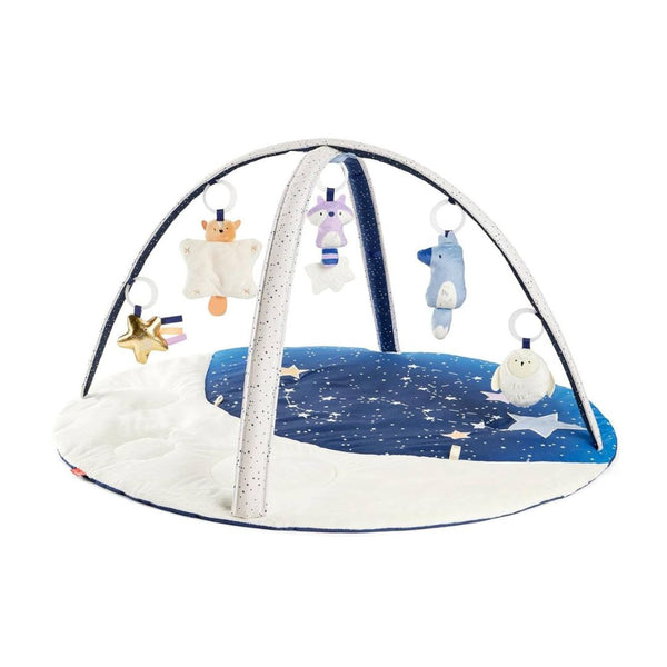Skip Hop 3-in-1 Activity Baby Play Gym