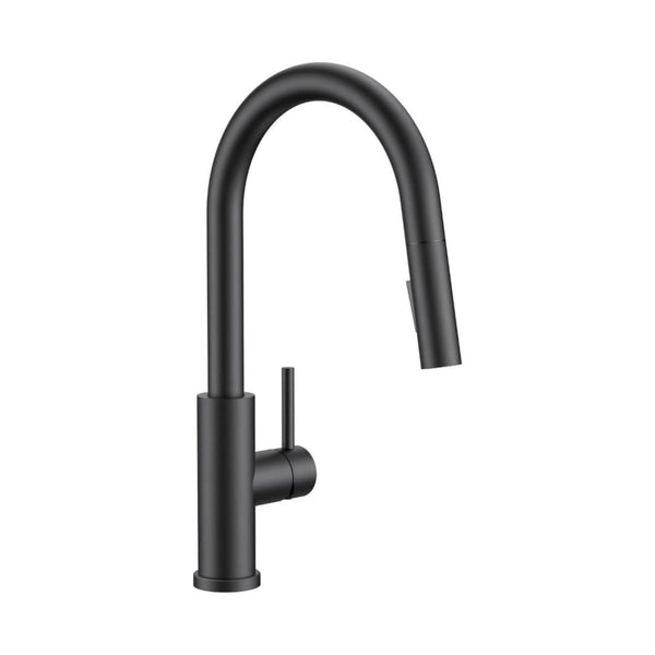 Kitchen Faucets with Pull Down Sprayer