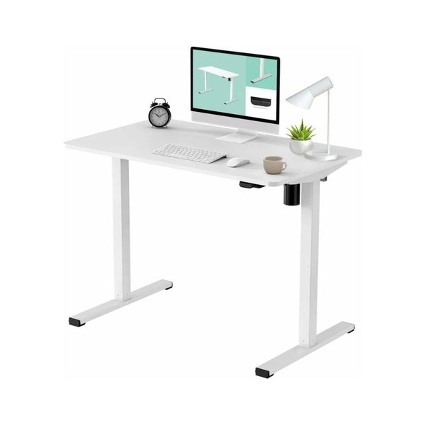 FLEXISPOT Electric Height Adjustable Sit & Standing Desk