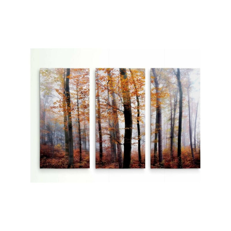 Renditions Gallery Lost in The Forest 3 Panel Wall Art (12″x24″ x 3 Panels)
