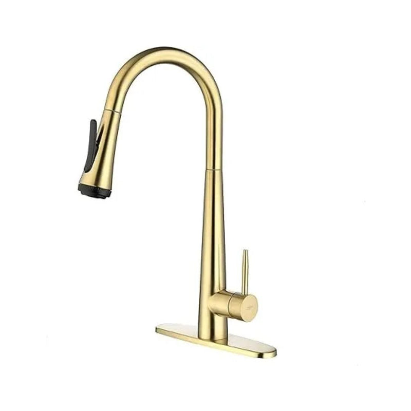 Kitchen Faucet with Pull Down Sprayer