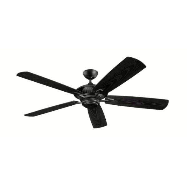 Indoor/Outdoor Ceiling Fan