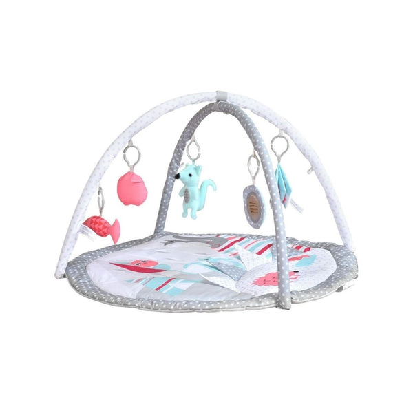 Baby Activity & Play Mat