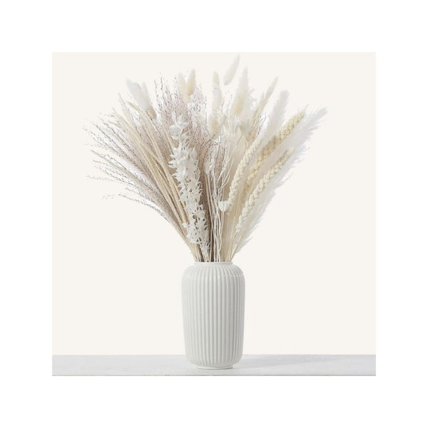 85-Pcs Dried Pampas Grass Decor