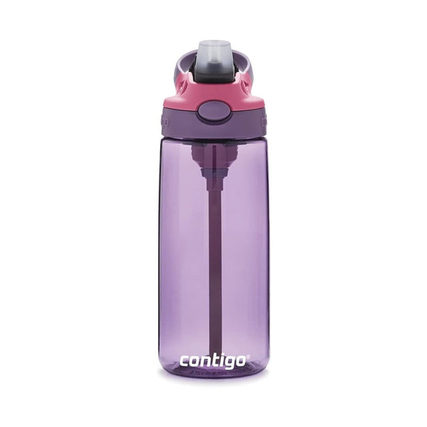 Contigo Aubrey Kids Cleanable Water Bottle with Silicone Straw and Spill-Proof Lid