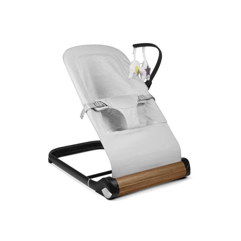 Baby Bouncer Chair