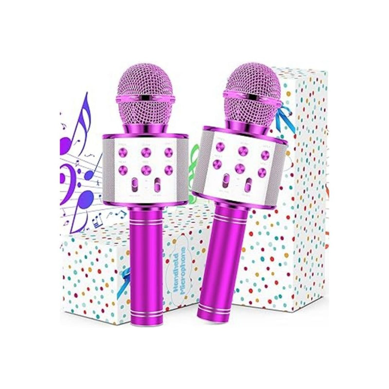 2-Pack Kids Microphones