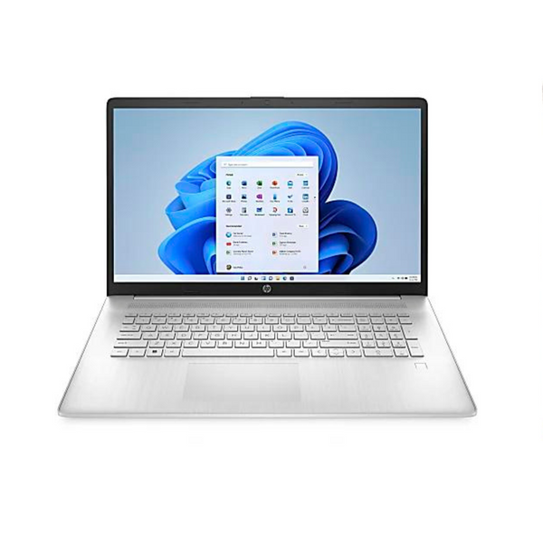 HP 17.3-Inch Laptop [Ryzen 3 / 8GB Memory / 256GB SSD]