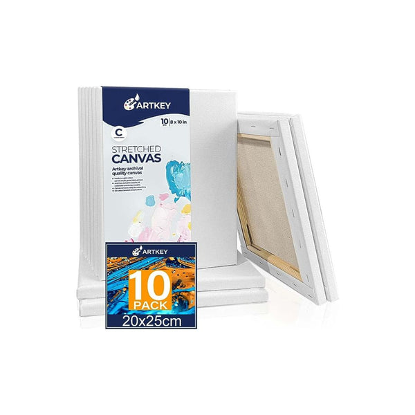 10-Pack Canvases for Painting
