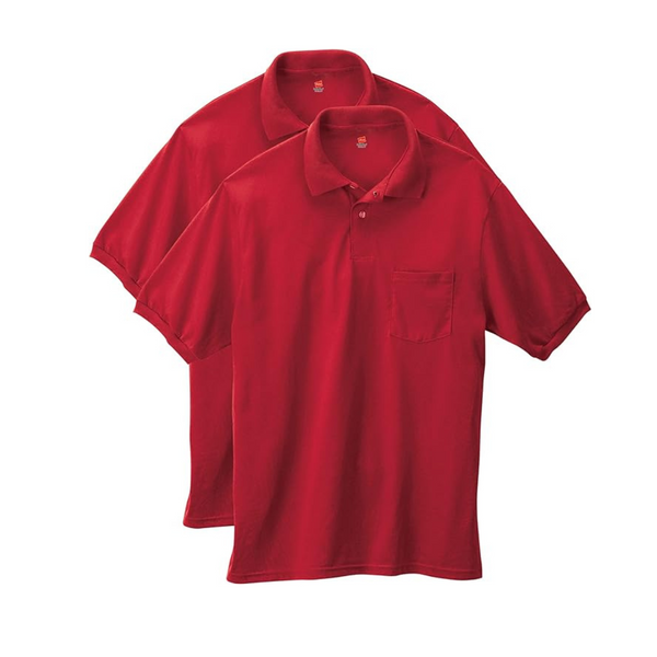 2-Pack Hanes Men's Short-Sleeve Jersey Pocket Polo – simplexdeals