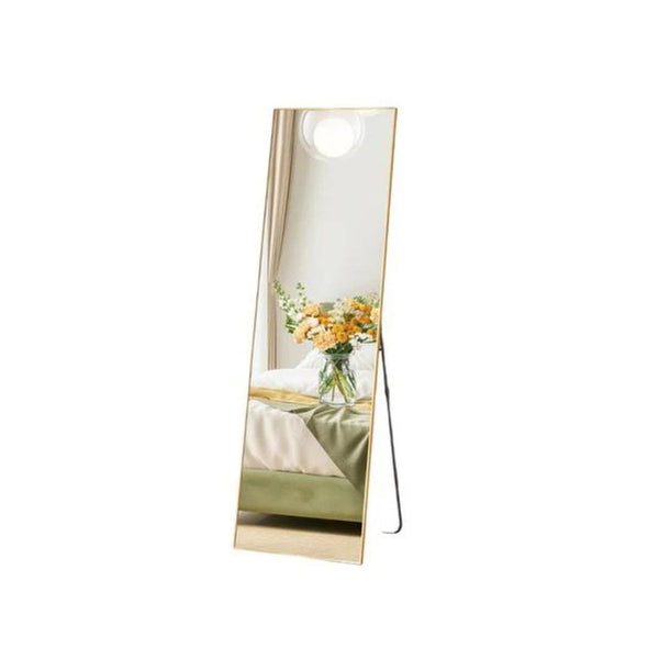 Full Length Mirror with Stand
