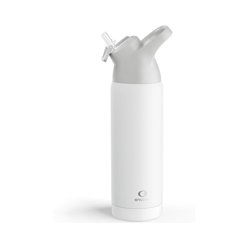 Insulated Water Bottle with Straw