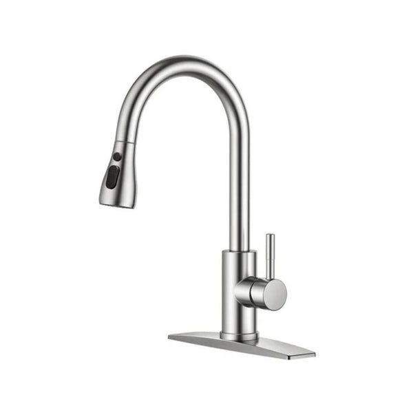 Kitchen Faucet with Pull Down Sprayer