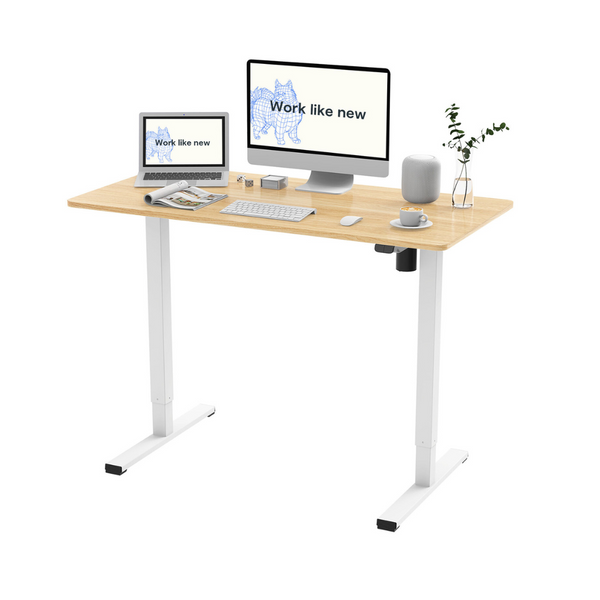 FlexiSpot Electric Height Adjustable Standing Office Desk