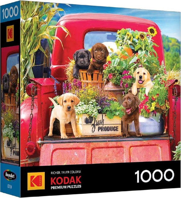 1000 Piece Kodak Stowaways Jigsaw Puzzle