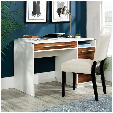 Modern Home Computer Desk with Storage