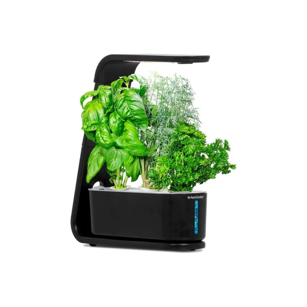 AeroGarden Sprout with Gourmet Herbs Seed Pod Kit