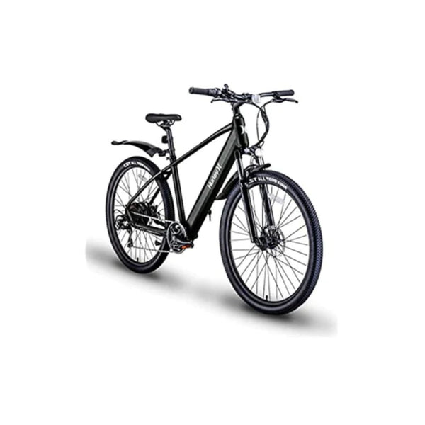 simplex electric bike