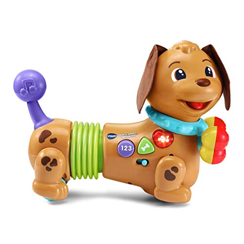 VTech Rattle & Waggle Learning Pup,Multicolor Via Amazon